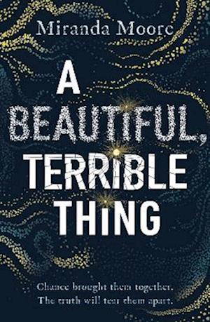 Cover for Miranda Moore · A Beautiful, Terrible Thing (Paperback Bog) (2025)