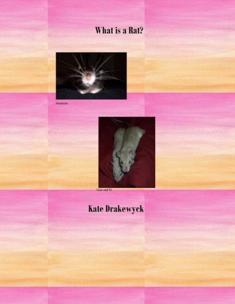 Cover for Kate Bulmer · What is a Rat? (Paperback Book) (2017)