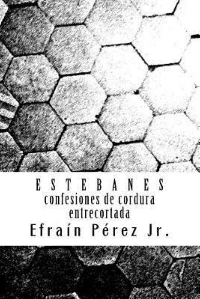 Cover for Efrain Perez Jr · E S T E B a N E S (Taschenbuch) (2017)