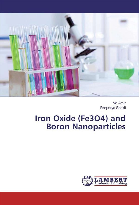 Cover for Amir · Iron Oxide (Fe3O4) and Boron Nanop (Book)