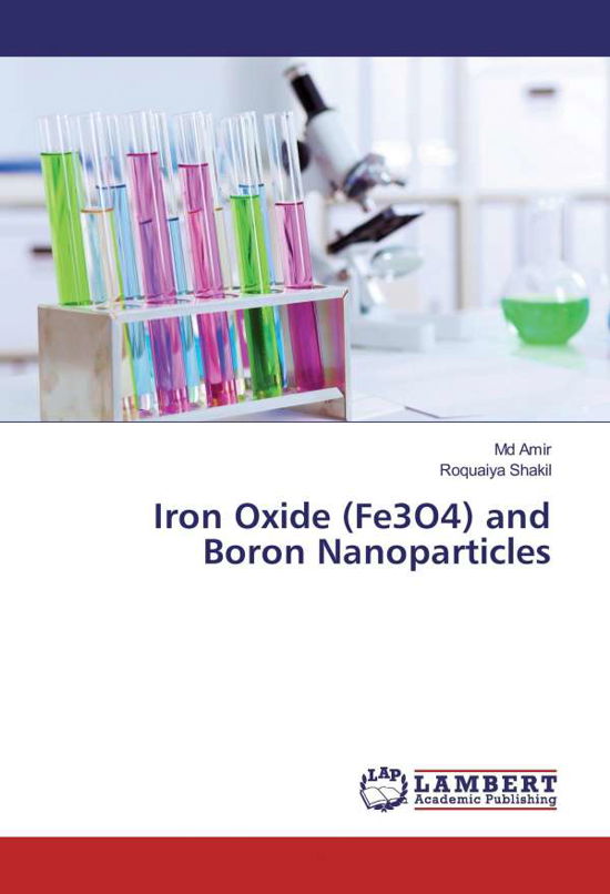 Iron Oxide (Fe3O4) and Boron Nanop - Amir - Boeken -  - 9783330054684 - 