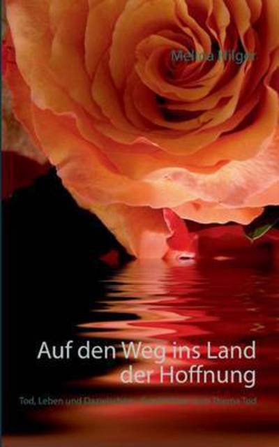 Cover for Hilger · Auf den Weg ins Land der Hoffnun (Bok) (2015)