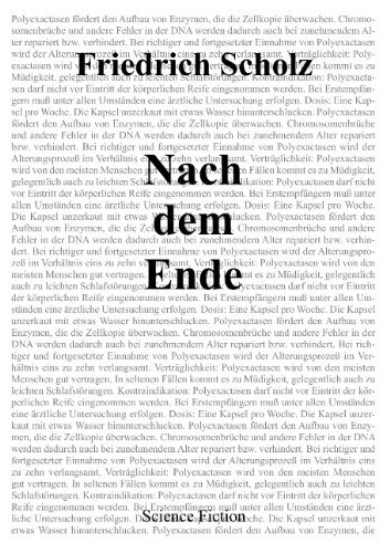 Cover for Friedrich Scholz · Nach Dem Ende (Taschenbuch) [German edition] (2007)