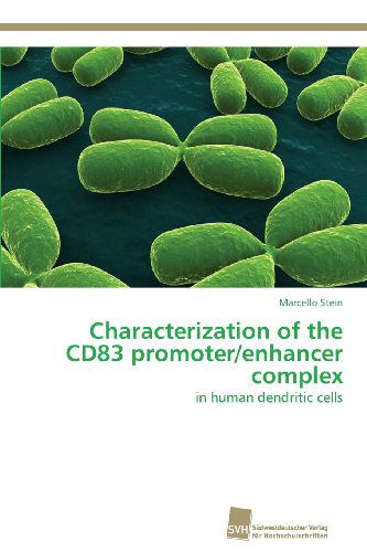 Cover for Marcello Stein · Characterization of the Cd83 Promoter / Enhancer Complex: in Human Dendritic Cells (Paperback Book) (2013)