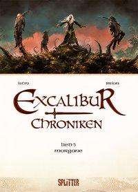 Cover for Istin · Excalibur Chroniken. Band 5 (Bog)