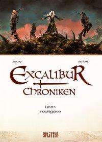 Cover for Istin · Excalibur Chroniken. Band 5 (Book)