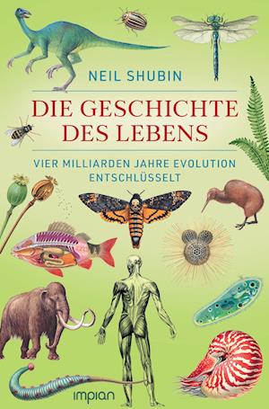 Die Geschichte des Lebens - Neil Shubin - Bøger - Impian - 9783962691684 - 20. november 2023