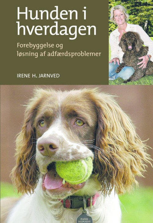 Cover for Irene Jarnved · Hunden i hverdagen (Poketbok) [1:a utgåva] (2015)