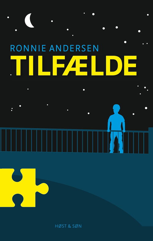 Cover for Ronnie Andersen · Tilfælde (Sewn Spine Book) [1. Painos] (2011)