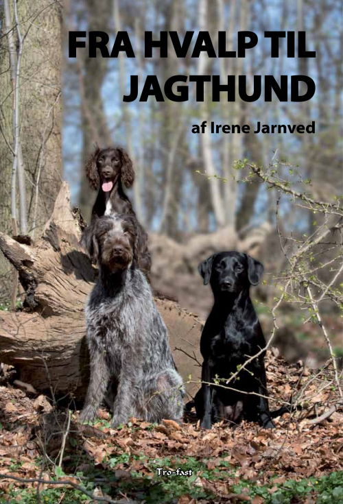 Cover for Irene Jarnved · Fra hvalp til jagthund (Bound Book) [1st edition] (2015)