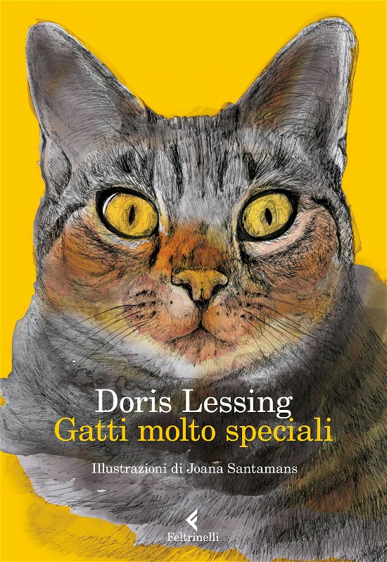 Cover for Doris Lessing · Gatti Molto Speciali (Bog)