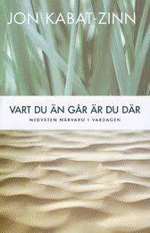 Vart du än går är du där : medveten närvaro i vardagen - Jon Kabat-Zinn - Boeken - Natur & Kultur Akademisk - 9789127111684 - 23 augustus 2005