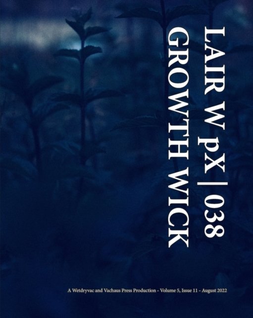 Cover for Wetdryvac · LAIR W pX 038 Growth Wick (Paperback Bog) (2024)