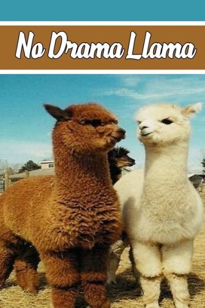 No Drama Llama - Llama Notebook Personalized Notebooks - Bøger - Independently Published - 9798601044684 - 19. januar 2020