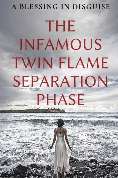 The Infamous Twin Flame Separation Phase - Silvia Moon - Books - Independently Published - 9798666647684 - July 16, 2020