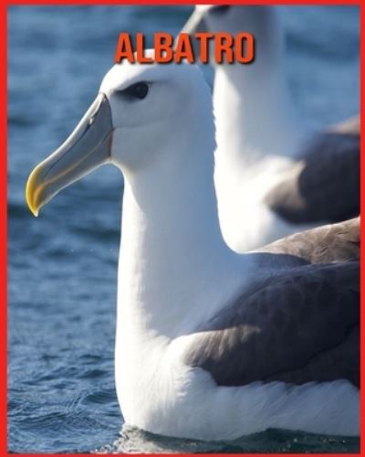 Cover for Linda Davis · Albatro (Paperback Book) (2021)