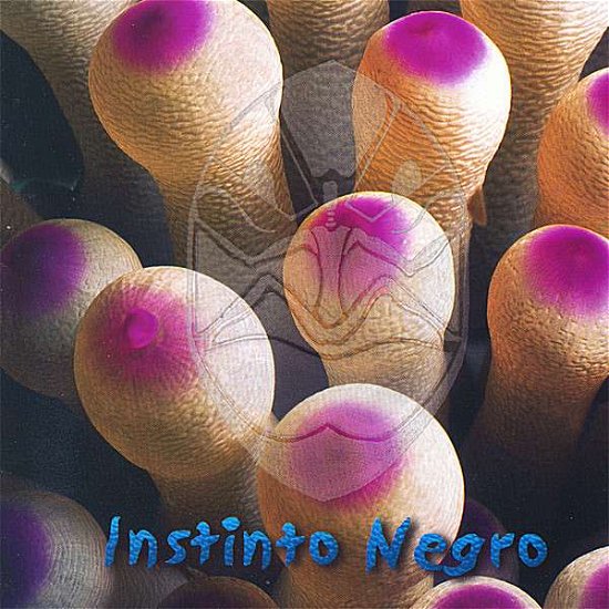 Cover for Rocko · Instinto Negro (CD) (2007)