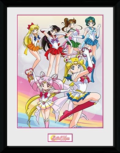 Sailor Moon: Team (White Frame) (Stampa In Cornice 30x40 Cm) - Sailor Moon - Musik -  - 5028486378685 - 
