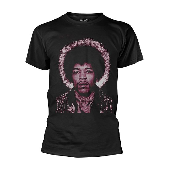Cover for The Jimi Hendrix Experience · Ferris X Hendrix (T-shirt) [size S] [Black edition] (2020)
