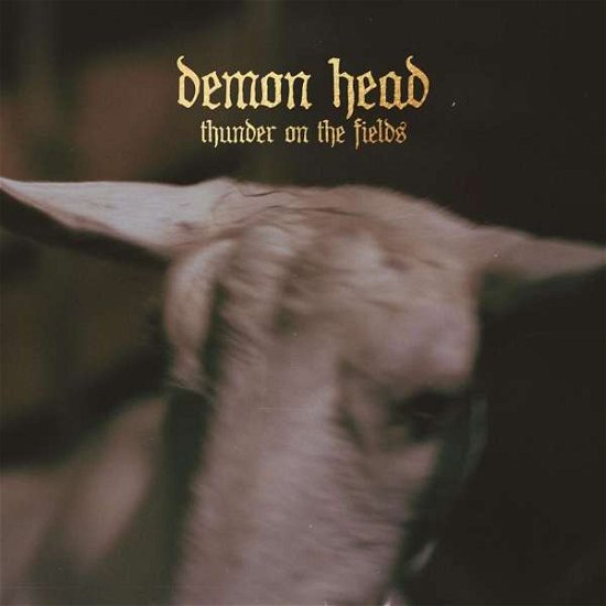 Cover for Demon Head · Thunder On The Fields (CD) (2018)