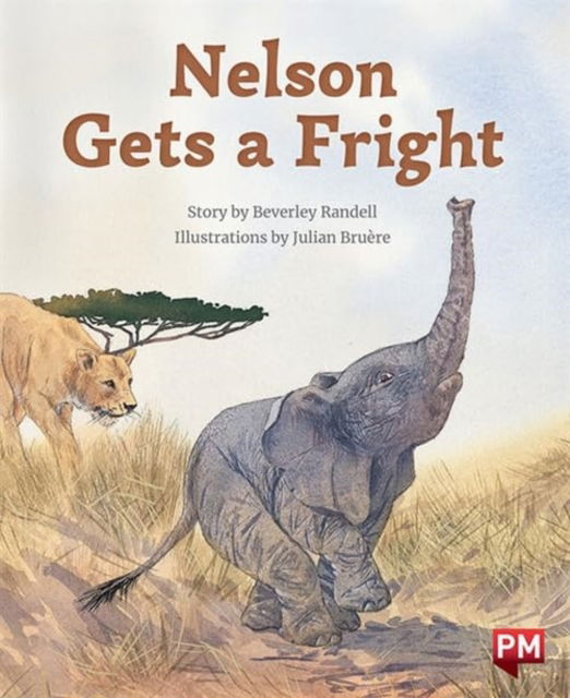 Cover for Beverley Randell · Nelson Gets  Fright (Paperback Book)