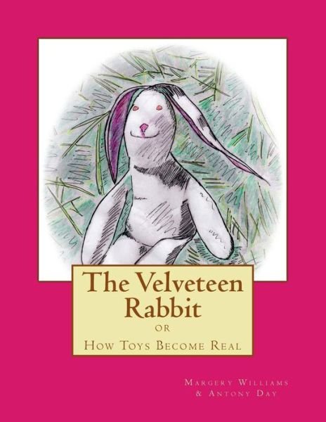 Cover for Margery Williams · The Velveteen Rabbit: How Toys Become Real (Paperback Book) (2014)