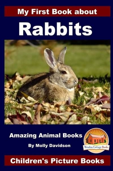 Cover for John Davidson · My First Book about Rabbits - Amazing Animal Books - Children's Picture Books (Pocketbok) (2015)