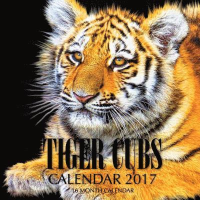 Cover for David Mann · Tiger Cubs Calendar 2017 (Paperback Book)