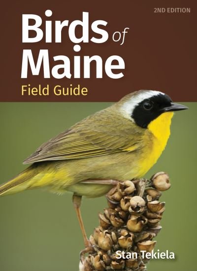 Cover for Stan Tekiela · Birds of Maine Field Guide - Bird Identification Guides (Paperback Bog) [2 Revised edition] (2023)