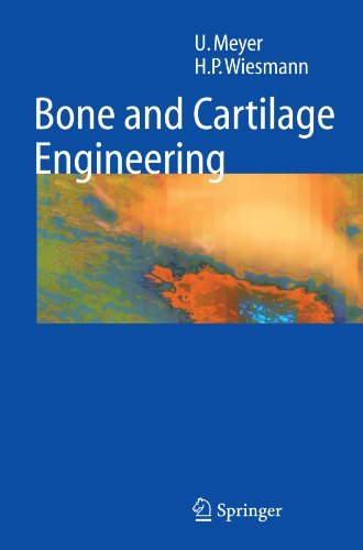 Cover for Ulrich Meyer · Bone and Cartilage Engineering (Pocketbok) [Softcover reprint of hardcover 1st ed. 2006 edition] (2010)