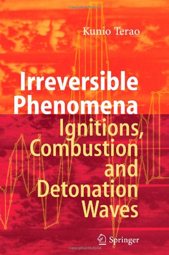 Cover for Kunio Terao · Irreversible Phenomena: Ignitions, Combustion and Detonation Waves (Paperback Book) [1st Ed. Softcover of Orig. Ed. 2007 edition] (2010)