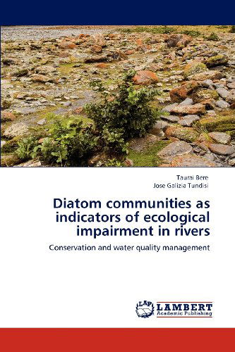 Cover for Jose Galizia Tundisi · Diatom Communities As Indicators of Ecological Impairment in Rivers: Conservation and Water Quality Management (Paperback Book) (2012)