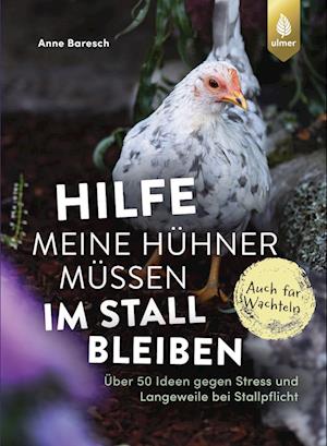 Cover for Anne Baresch · Hilfe, meine Hühner müssen im Stall bleiben (Book) (2024)