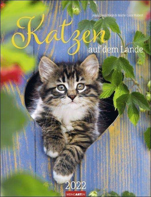 Cover for Klein · Katzen auf dem Lande Kalender 202 (N/A)