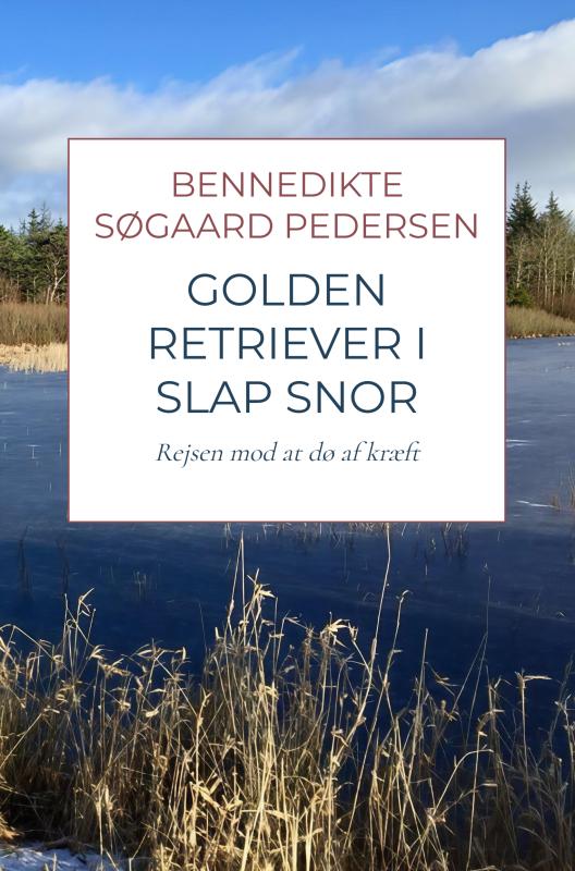 Cover for Bennedikte Søgaard Pedersen · Golden Retriever i slap snor (Paperback Book) (2025)