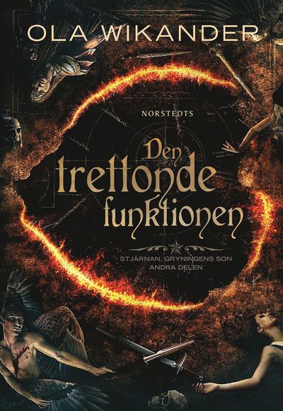 Cover for Ola Wikander · Den trettonde funktionen (ePUB) (2015)