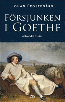 Cover for Johan Frostegård · Försjunken i Goethe och andra essäer (Paperback Book) (2018)