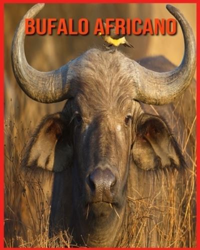 Cover for Linda Davis · Bufalo Africano: Fatti di apprendimento divertenti sui Bufalo Africano (Paperback Book) (2021)