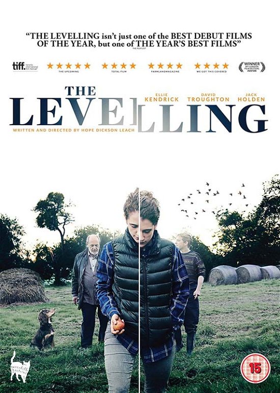 Cover for The Levelling (DVD) (2017)