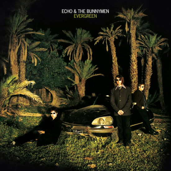 Cover for Echo &amp; the Bunnymen · Evergreen (25th Anniversary Edition) (White Vinyl) (LP) (2022)