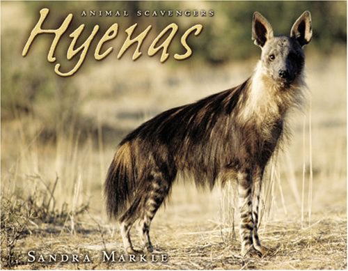 Cover for Sandra Markle · Hyenas - Animal Scavengers (Paperback Book) (2010)