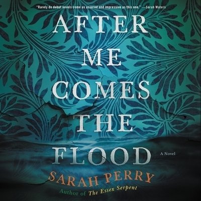 After Me Comes the Flood A Novel - Sarah Perry - Musikk - Harpercollins - 9781094116686 - 17. mars 2020