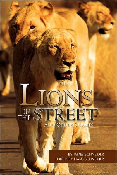 Lions in the Street - James Schneider - Books - Xlibris Corporation - 9781441549686 - August 21, 2009