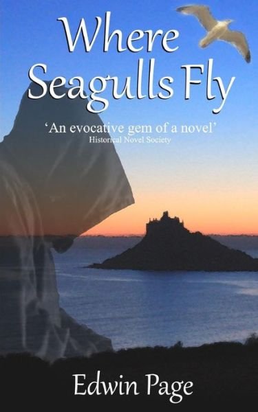 Cover for Edwin Page · Where Seagulls Fly (2013 Edition) (Taschenbuch) (2013)