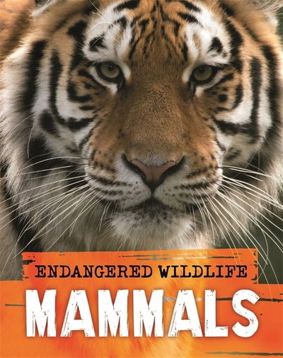 Cover for Anita Ganeri · Endangered Wildlife: Rescuing Mammals (Hardcover Book) (2020)