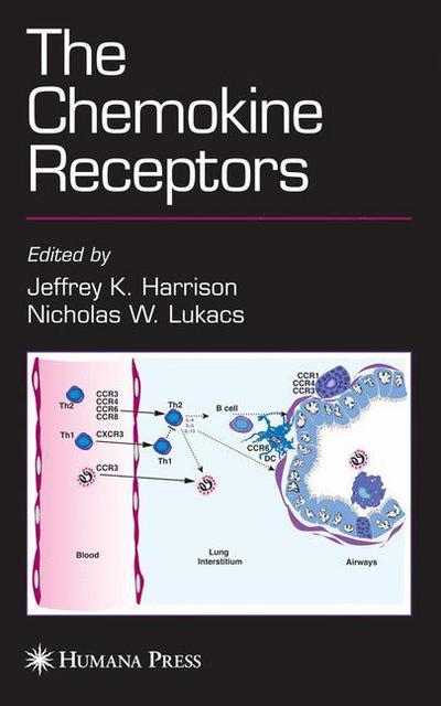 Cover for Jeffrey K Harrison · The Chemokine Receptors - the Receptors (Paperback Book) [1st Ed. Softcover of Orig. Ed. 2007 edition] (2010)