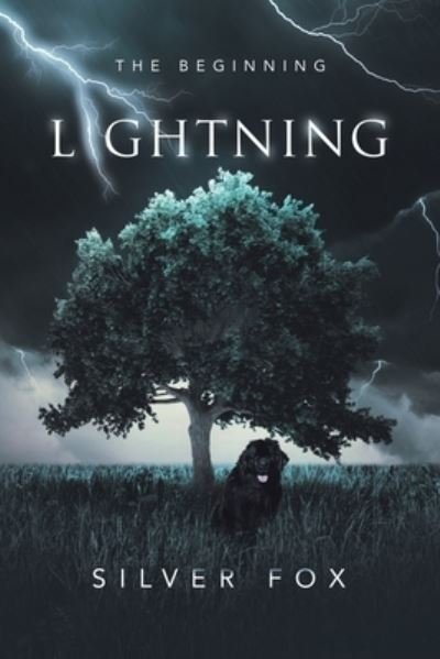 Cover for Silver Fox · Lightning (Paperback Book) (2020)