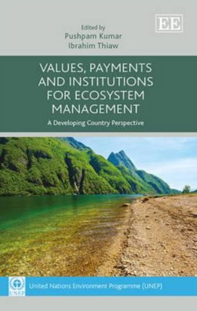 Cover for Pushpam Kumar · Values, Payments and Institutions for Ecosystem Management: A Developing Country Perspective (Hardcover Book) (2013)