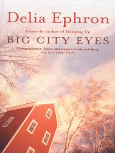 Cover for Delia Ephron · Big City Eyes (Paperback Book) (2001)