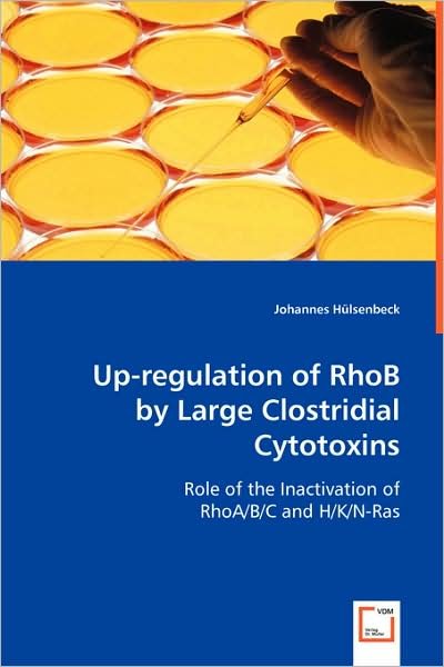 Up-regulation of Rhob by Large Clostridial Cytotoxins: Role of the Inactivation of Rhoa/b / Cand H/k / N-ras - Johannes Hülsenbeck - Böcker - VDM Verlag Dr. Müller - 9783639001686 - 15 april 2008